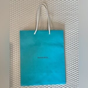Tiffany & Co. Signature Blue Shopping Bag / Gift Bag